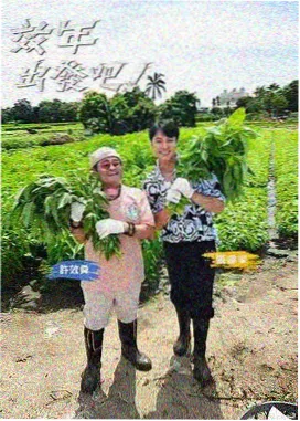 欢乐无限 - 稻草影视免费观看电视剧